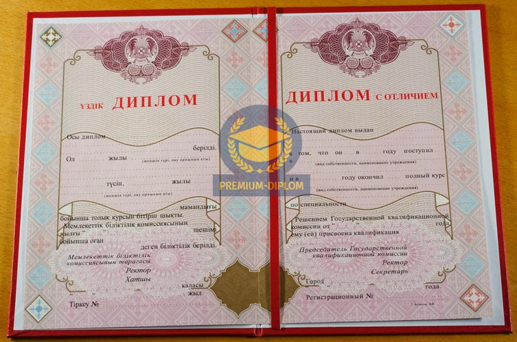 Специалист 2009-2026 с отличием (Казахстан) - фото